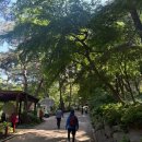 ⛰️ 초보등산러 등린이의 아차산 등산 코스 난이도 후기｜ 우리콩밭 손두부 💚 2026.05.05