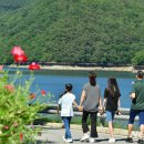 장성호수변길 이미지