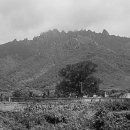 무위사 주차장 이미지