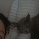 복희쌀롱 이미지