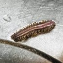 대흥물산(주) 네이버블로그