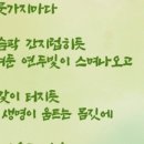 봄뜻 이미지