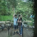 정상영업합니다. ①