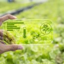 스마트팜 이미지