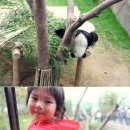 씽씽카랜드 이미지