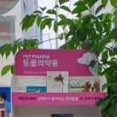 신정약국 이미지