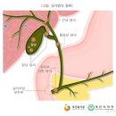 씨앤유 이미지