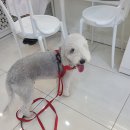 안경상회 이미지