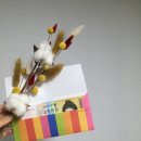 오천만의 행복