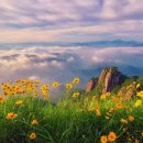 한밭정식전문점 이미지