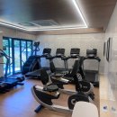 케이휘트니스 이미지