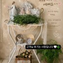 마벨(MABELLE) | 워시스탠드 고객님 후기는 사랑입니다.
