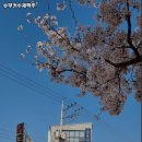 슈무커수제맥주