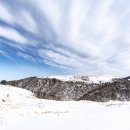 법환동-17 | 제주도 서귀포 곱창 해민이네 양곱창 17년 경력 셰프의 현지인 맛집 후기