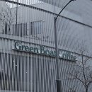 라임그린커피 | 구미 송정동 카페 그린보트커피 라임치즈케이크 포장
