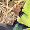 농장 | 번다버그 워홀 고구마 농장 후기 페이슬립, 일강도 전부 공개