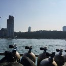 산호환경 | 파타야 산호섬 스노클링 잘 알려지지 않은 사실