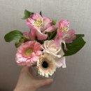 싱싱과일장터 | 의정부 장터 상견례 과일박스 후기｜첫인사 선물 준비 ( wedding 10. )