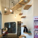 이플동물병원 이미지