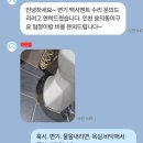 진성투토펠리체 이미지