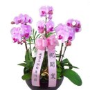 효원한의원 이미지