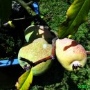 열린자리 이미지