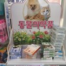 도마태평양약국 이미지