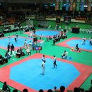 용인대꿈나무태권도체육관 이미지