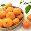 내외로L 이미지