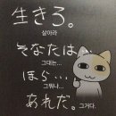 미달독 | 논란의 2026 생활스포츠 지도사 필기시험 후기