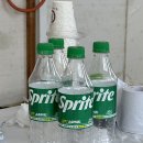 대천통나무리조트 이미지