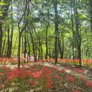 두루봉근린공원 이미지