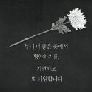 삼가 고인의 명복을 기원합니다 이미지