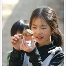 준상농장 네이버블로그