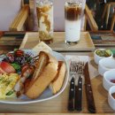 아콘트리 이미지