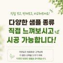 삼우구조안전기술단 | 방충망 교체 [✨프리미엄 탈착식 안전방충망 0.35T/24 메쉬+ 블랙스텐코팅 미세방충망 30메쉬 시공 후기]