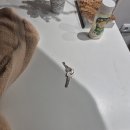 왕궁중학교 | 2) - 마드리드 왕궁 티켓 현장 구매 / 마드리드 야오...이베리아 익스프레스 마드리드에서 베를린 후기