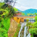 아름다운관광농원화수목 이미지