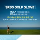 SR30 남성용 통풍형 기능성 골프장갑 10+1 입점기념 초특가 판매~~ 이미지