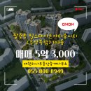 부동산씨티부동산중개사무소 이미지