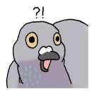 전용모터싸이클