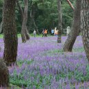 황성공원 시민운동장 이미지