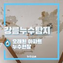 일송아파트 | 강릉누수탐지 일송 대목 아파트 붙박이장 아래에 생긴 누수 문제
