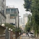 보스켈리