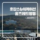홈즈레드 명동 | 서울 명동 호텔 워케이션 호캉스 둘 다 추천 홈즈레드 명동