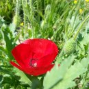 누리농장 이미지