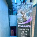 크로스핏 긱스 이미지