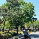 용산-400 | 용산 장교숙소 5단지 러닝 후기 | 5월 피크닉하기 좋은 서울 산책 코스 추천