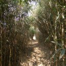 부안변산마실길 이미지