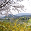 구례북초등학교 이미지